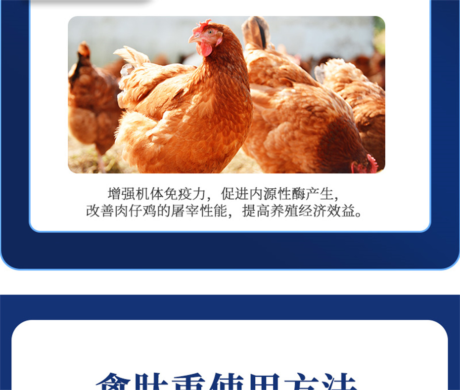 冠军体育CMP动保禽饲料添加剂禽肽重产品介绍